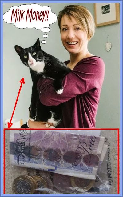Milk Money Is An Attraction To Cats