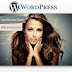 ZoomShowcase v1.4 - Responsive Banner for WordPress