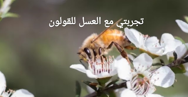 تجربتي مع العسل للقولون 