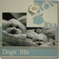 Sherri Freese Elegant scrapbooking on a budget pic3