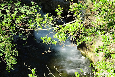 Ruta pels pobles de la vall de Ribes