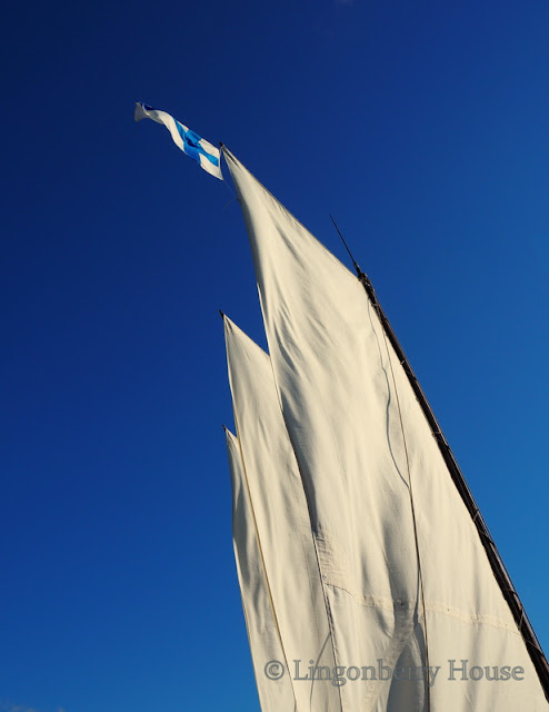 lingonberryhouse, wooden boats, puuvene, uusikaupunki