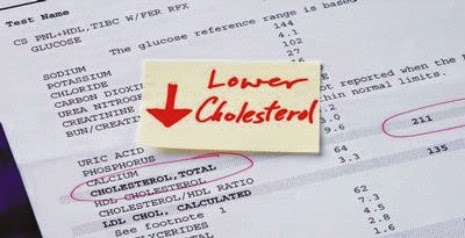 7 Tanaman Obat Kolesterol - Tanaman Berkhasiat dan Obat 