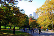 Central Park, ManhattanPart Two  (dsc )