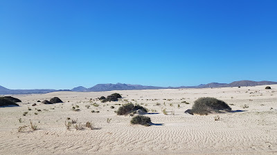 deserto di corralejo