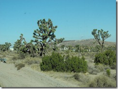 DSCN1602