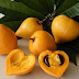 14 Benefits and Content of Alkesa Fruit (lucumma nervosa)