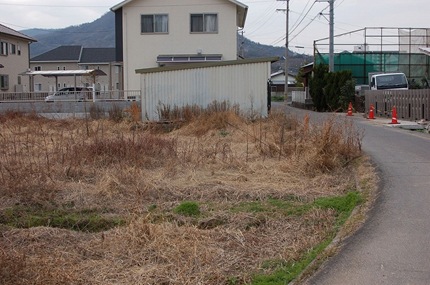 s20100215 (11)