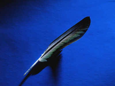 Feather wallpapers