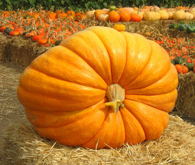 big pumpkin spectacle