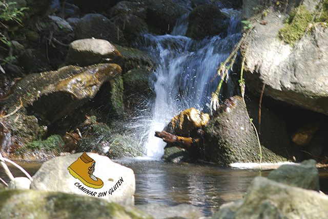 FRESCOR DEL AGUA EN LA SIERRA DE GUADARRAMA