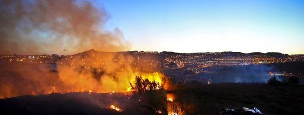  http://www.noticiasaominuto.com/pais/245931/populacao-informada-pode-ajudar-a-prevenir-incendios-florestais