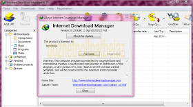 Internet download manager 23 build 11 full version
