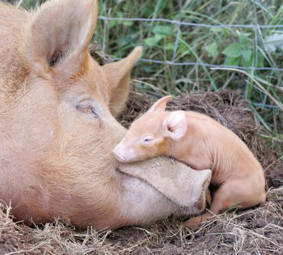 happy mother and child. Happy Mother#39;s Day to all!