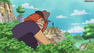 ワンピース アニメ 275話 ロビン過去 20年前 オハラ ハグワール・D・サウロ Jaguar D. Saul | ONE PIECE Episode 275 Ohara