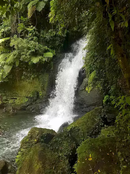 Bayugin Falls Sorsogon