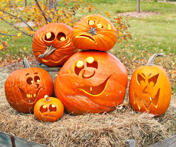 Pumpkin Ideas