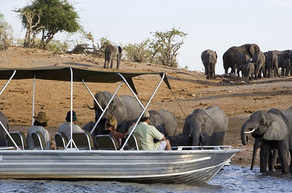 http://www.namibiareservations.com/ntwala_island_lodge.html