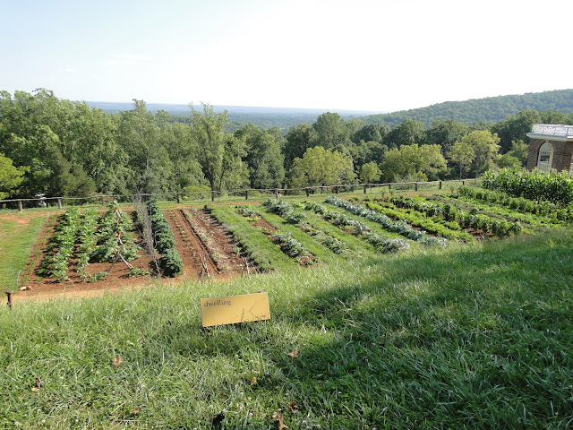 kitchen garden