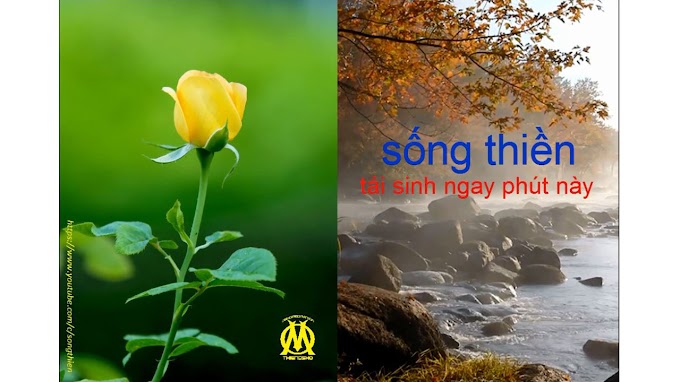 SỐNG THIỀN - Người không tin cậy vào năng lượng sống của riêng mình thì không thể tin cậy vào ai được