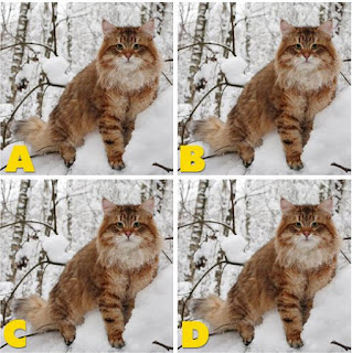 Which image is different? image 27