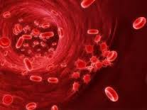 Cara Mencegah Pengentalan Darah