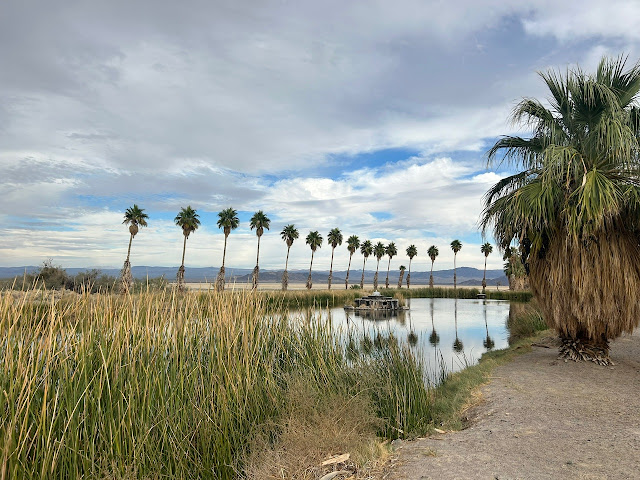 LAKE TUENDAE LOOP HIKING TRAIL ZZYZX ROAD