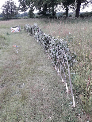 Have a go at hedge laying