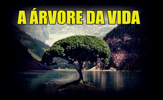 Resultado de imagem para fruto da arvore da vida