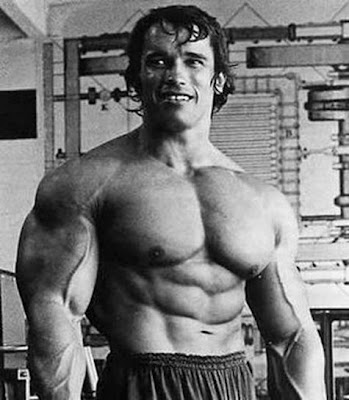 Classical Pictures Of Arnold Schwarzenegger