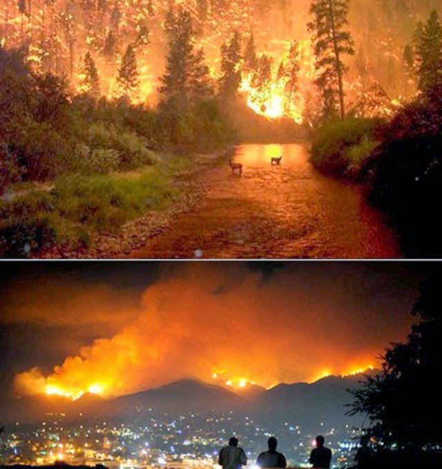 Nature Is All Powerful 