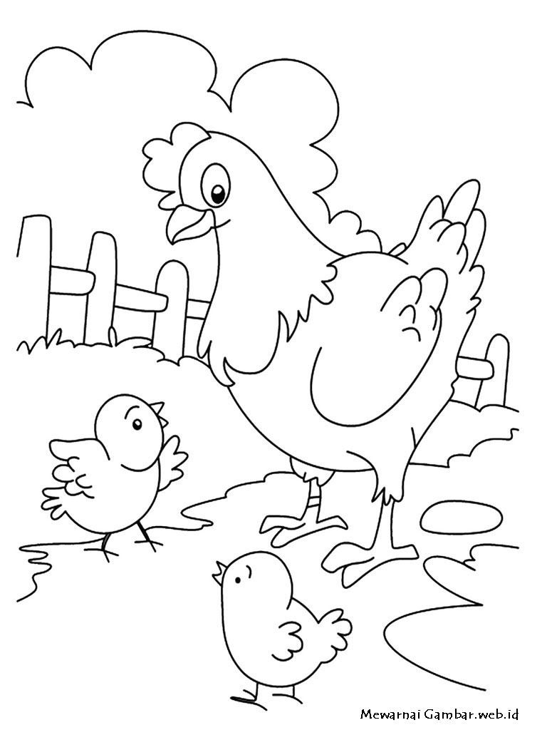 Contoh Gambar  Kartun  Ayam  Toast Nuances