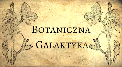 https://botanicznagalaktyka.pl/