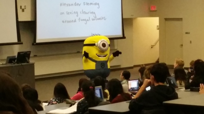 16 Inspiring Photos Prove That Teachers Can Have A Great Sense Of Humor - Our professor was a minion for fifty minutes.