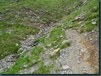 DSCN8756