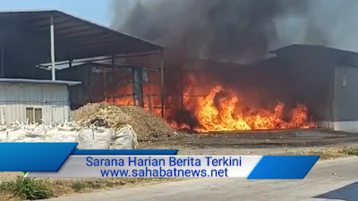 Gudang Pabrik Rumput Laut PT BLG Suppa Pinrang Terbakar