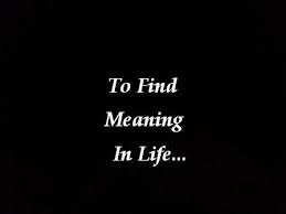 Finding the Meaning of Your Life 