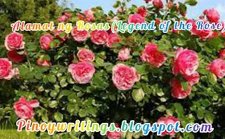 Alamat ng Rosas(Legend of the Rose)