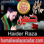 https://www.humaliwalyazadar.com/2018/09/haider-raza-nohay-2019.html