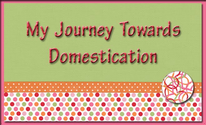 My Journey Towards Domestication