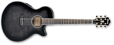 Gitar Akustik Ibanez AEG24II