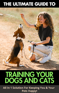 training your dog and cat