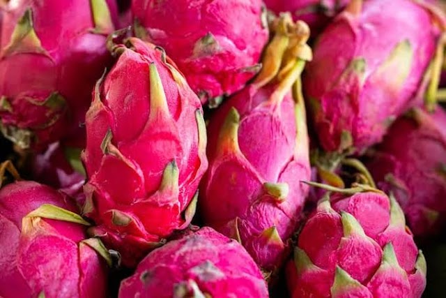 Following are the steps to follow to cultivate dragon fruit: