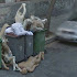 weird  pics on Google Street View