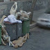 weird  pics on Google Street View