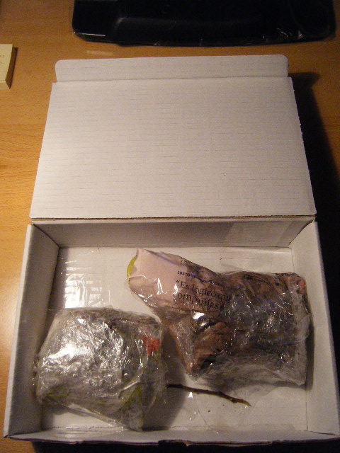 2010_01040012.JPG