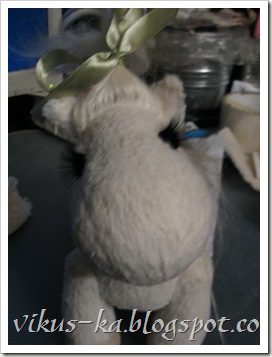 IMG_0206 IMG_0206