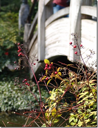 Botanical Garden 074