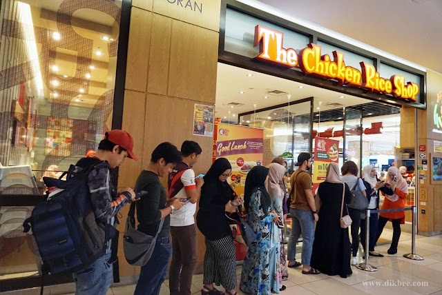 Makan Tengah Hari Murah Di The Chicken Rice Shop