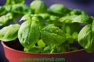 Best ayurvedic medicine for type 2 diabetes in Hindi |